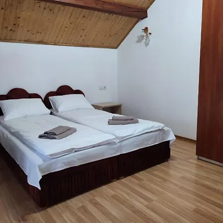 Family House Slavske