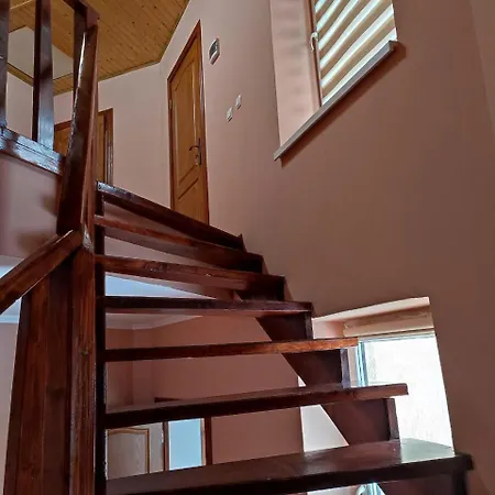 Lodge Family House *